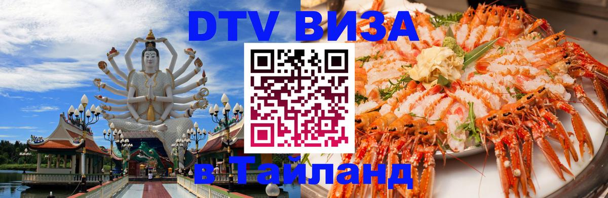 Оформление DTV визы под ключ: стоимость и тарифы, только загранпаспорт - 
